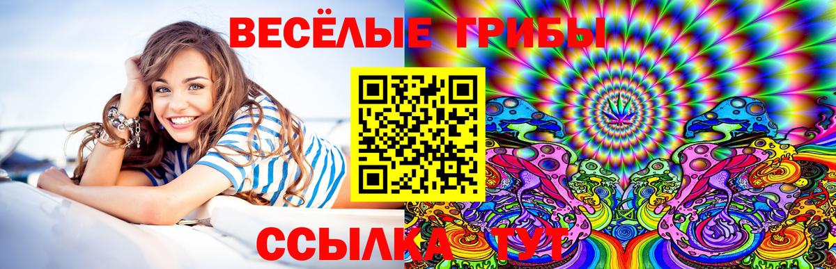 Псилоцибиновые грибы мухоморы  Галлюциногенные грибы мицелий  Усть-Джегута  Вход с VPN 