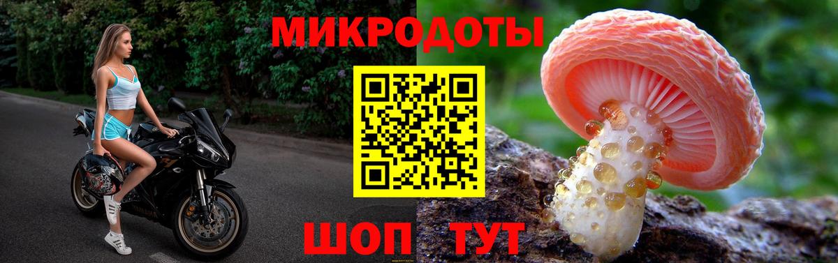 Псилоцибиновые грибы Psilocybine cubensis Усть-Джегута